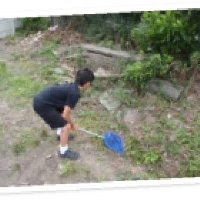 トカゲ トカゲ