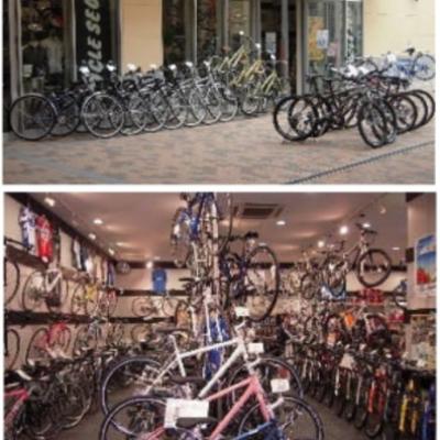 バイシクルセオ 2枚 バイシクルセオ 2枚