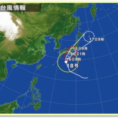 310261-WID 310261-WID