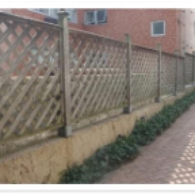 P9020002改 P9020002改