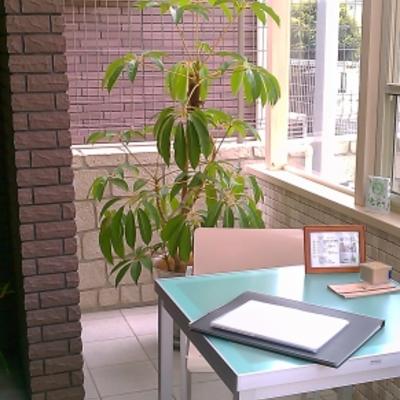 ツピダンサス ツピダンサス