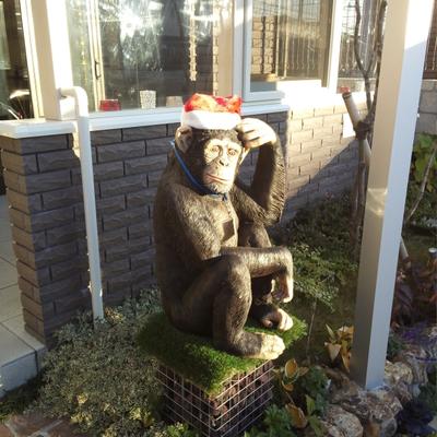 IMG_20131130_153453.870 IMG_20131130_153453.870