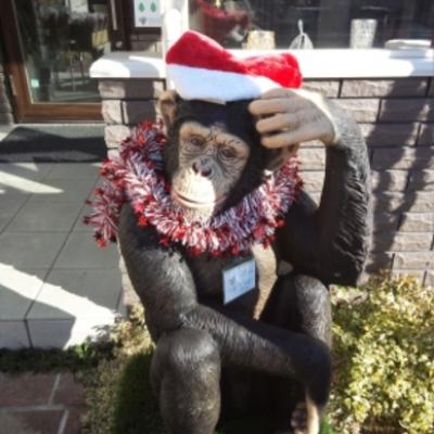 IMG_20131215_130459.166 IMG_20131215_130459.166