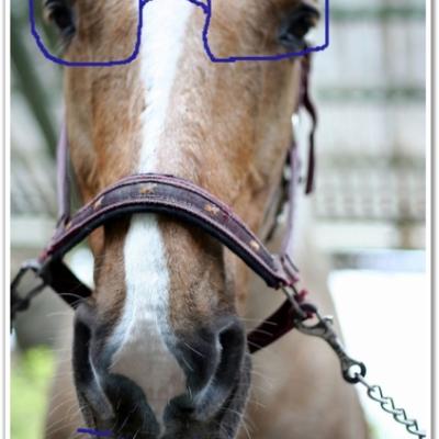 ClipboardImage ClipboardImage
