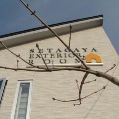 アオダモ アオダモ