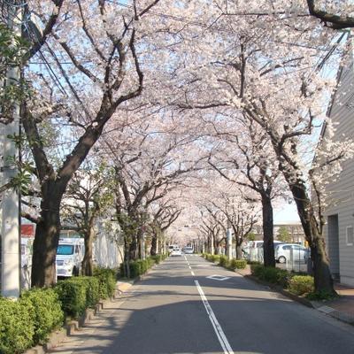 関東中央病院前140331 関東中央病院前140331