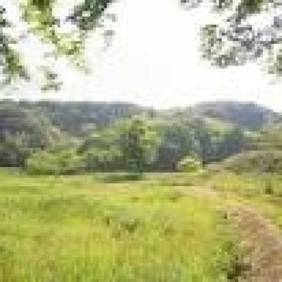 里山の風景 里山の風景