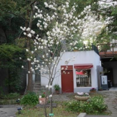 ジューンベリー(フィオーレノ森)4_9 ジューンベリー(フィオーレノ森)4_9