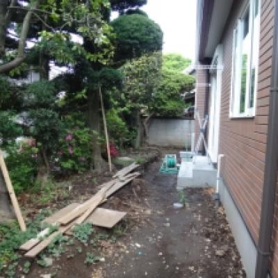 DSC01483 - コピー / DSC01483 - コピー /