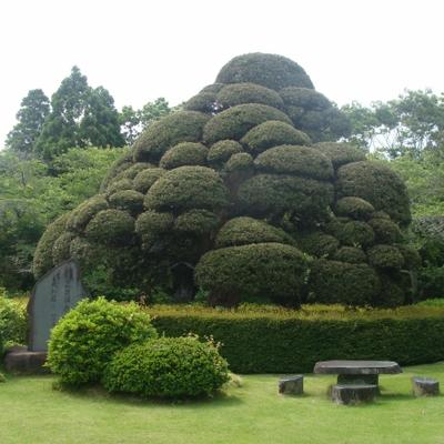 ラカンマキ ラカンマキ