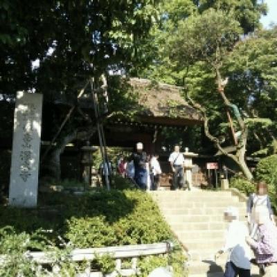 140926深大寺1 140926深大寺1