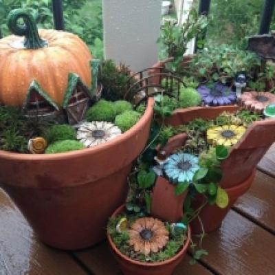 パンプキン パンプキン