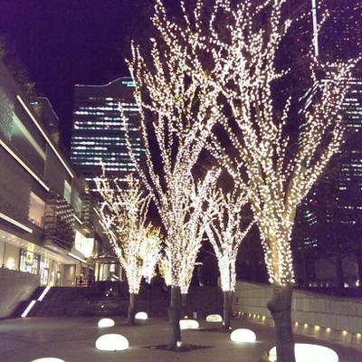 ケヤキとスライム ケヤキとスライム