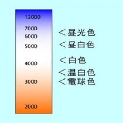 色温度 ケルビン 色温度 ケルビン