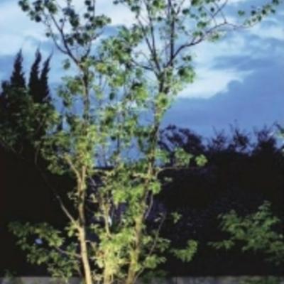 タカショー照明1 タカショー照明1