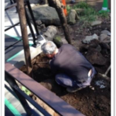 1426576011748 1426576011748