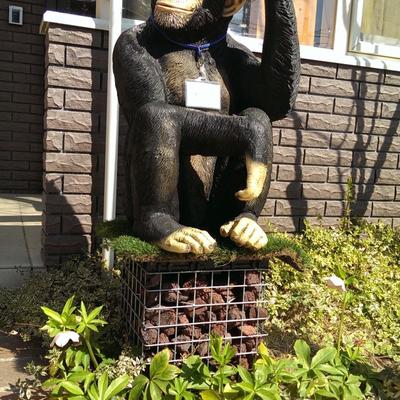 まさお、ガビオス、クリスマスローズ まさお、ガビオス、クリスマスローズ