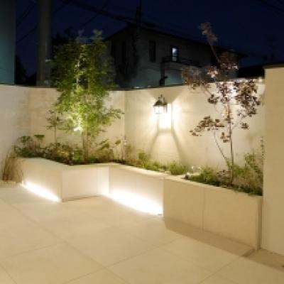 シマトネ向き夜P1030436 シマトネ向き夜P1030436