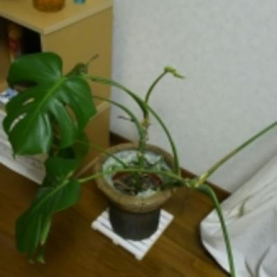 1452220367016 1452220367016