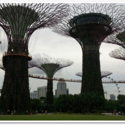 1453435694737 1453435694737