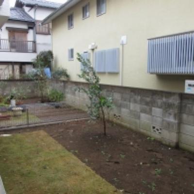 ビフォー ビフォー