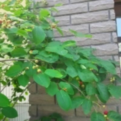 1463877112854 1463877112854