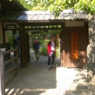 160527向島百花園1 160527向島百花園1