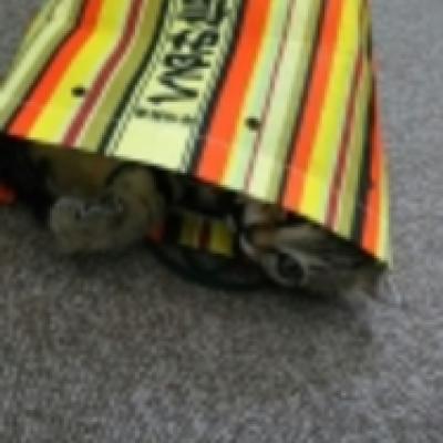 1465016287365 1465016287365