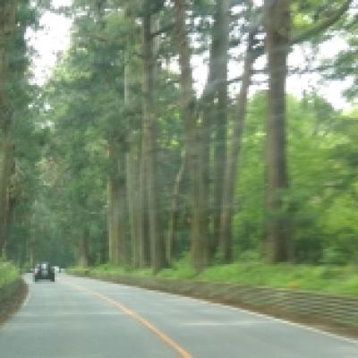 160610日光街道 160610日光街道