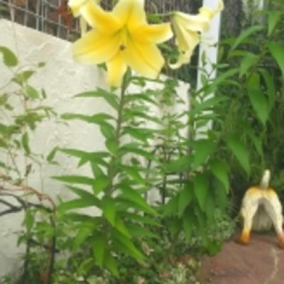 1467506477302 1467506477302