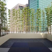 屋上の施工例 造園 屋上緑化 東京都世田谷区 エクステリア 外構 ガーデン 世田谷エクステリアルーム 三栄造園株式会社