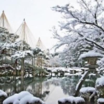雪吊り金沢兼六園 雪吊り金沢兼六園