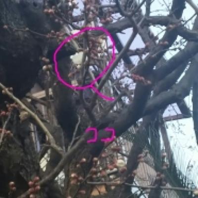 1483669007990 1483669007990