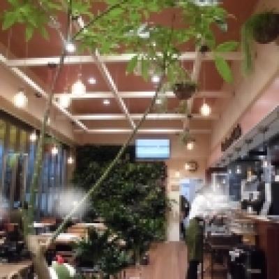 タカショー カフェ タカショー カフェ