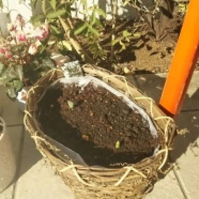 1485579915654 1485579915654