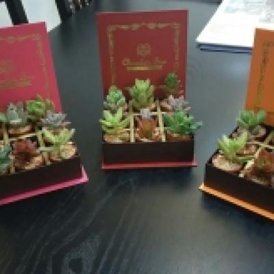 1486795567606 1486795567606