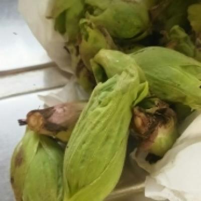 1461457684772 1461457684772