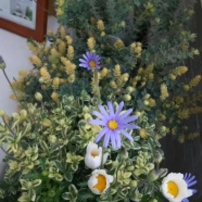 1489278718373 1489278718373