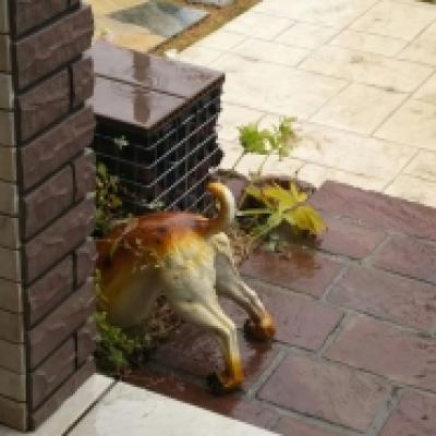 1490487635688 1490487635688