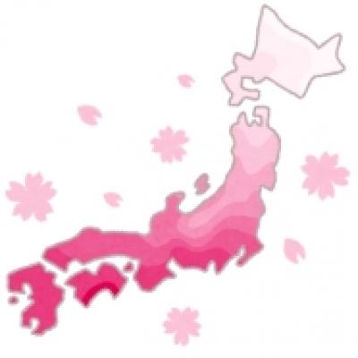 sakura sakura