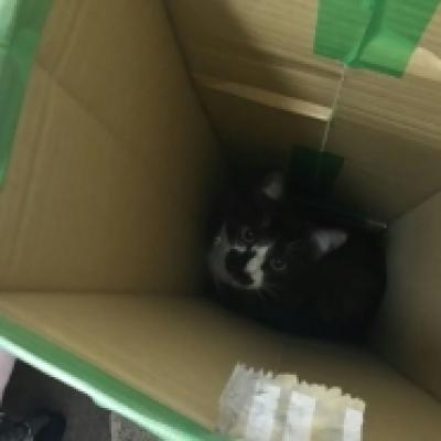 1490944730345 1490944730345