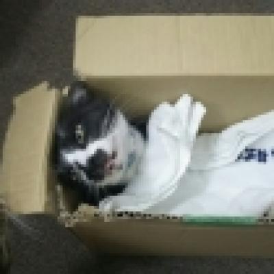 1492758301283 1492758301283