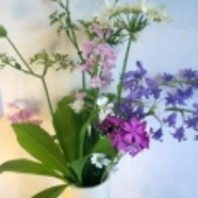 1493512720511 1493512720511