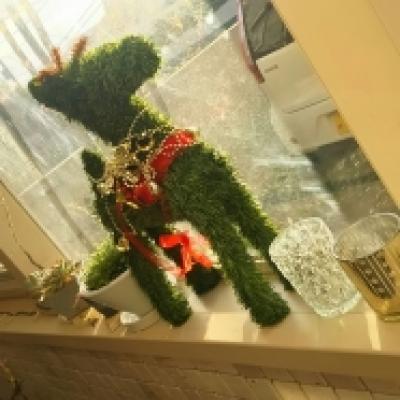 1511676185896 1511676185896