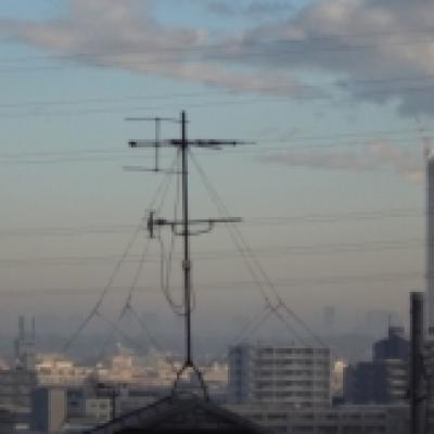 朝靄のビル群 朝靄のビル群