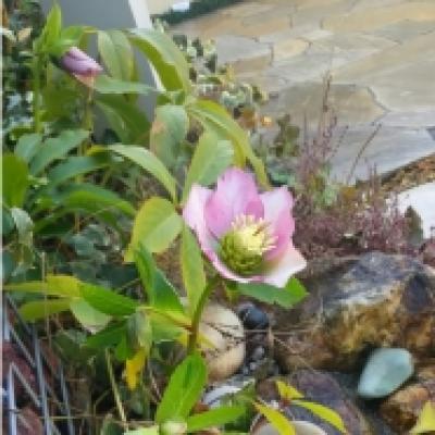 1520123758692 1520123758692