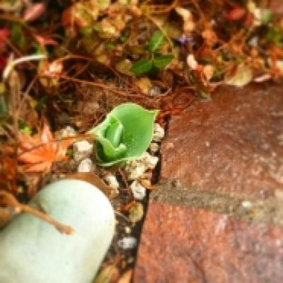 1520730054410 1520730054410