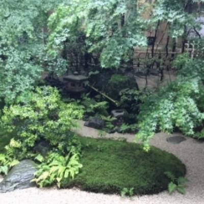 image1 image1
