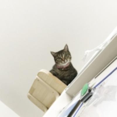 IMG_1124 IMG_1124