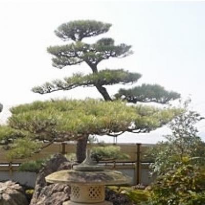 ClipboardImage ClipboardImage